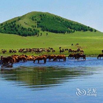 张北吉祥客栈酒店提供图片