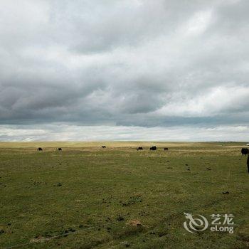 共和黑马河诚洁环湖度假第e栈酒店提供图片