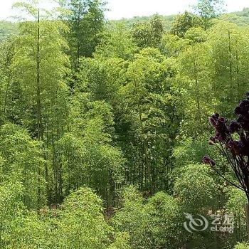 德清莫干山小帆的家客栈酒店提供图片