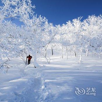 雪乡二浪河蒋春霞家庭旅馆酒店提供图片