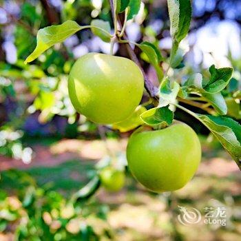 北戴河东经路宾馆酒店提供图片