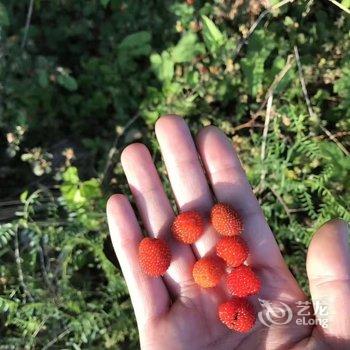 莫干山狮子山庄小村云宿酒店提供图片