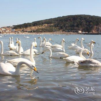 荣成烟墩角明月渔家乐酒店提供图片