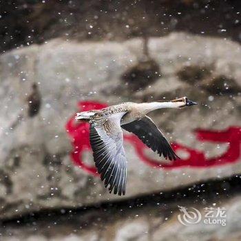 荣成烟墩角明月渔家乐酒店提供图片