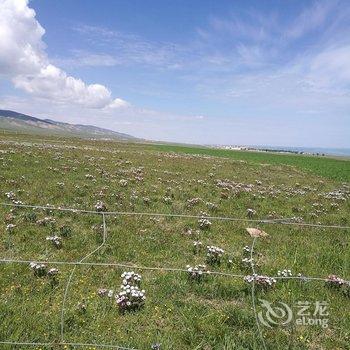 青海湖依湖山庄酒店提供图片