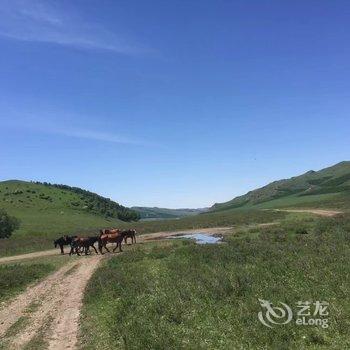 丰宁丽江假日民宿酒店提供图片