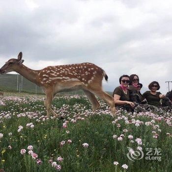 祁连阿柔部落寻鹿山庄酒店提供图片