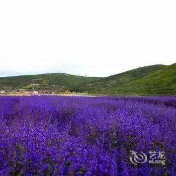 川主寺藏忆假日酒店(松潘)酒店提供图片