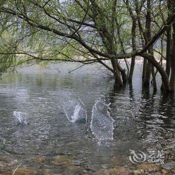 仙居任光阴民宿酒店提供图片