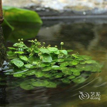 兴义隐庐仙墅客栈酒店提供图片