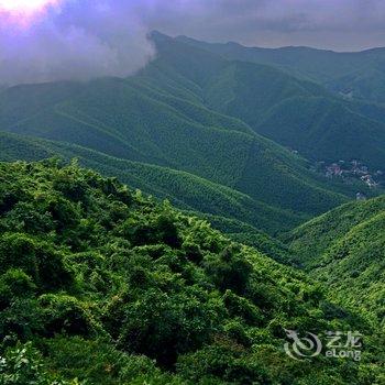 莫干山沐心坊咖啡客栈酒店提供图片