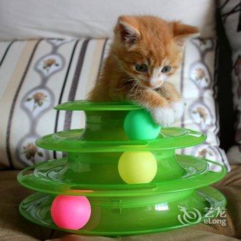 重庆想多了青年旅舍酒店提供图片