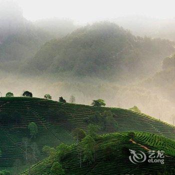 武夷山阳光小筑酒店提供图片