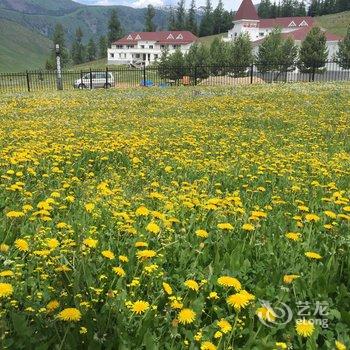 喀纳斯贾登峪回家休闲酒店(别墅区)酒店提供图片