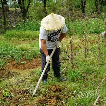 安吉清风寨山庄酒店提供图片