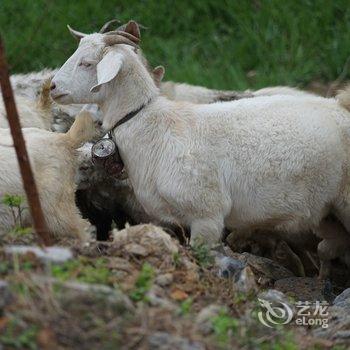 安吉清风寨山庄酒店提供图片