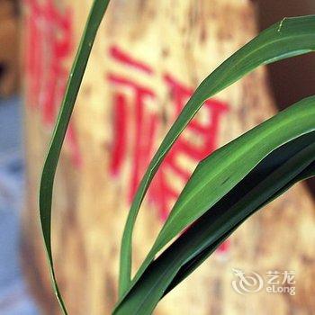 大理洱海祝福客栈酒店提供图片