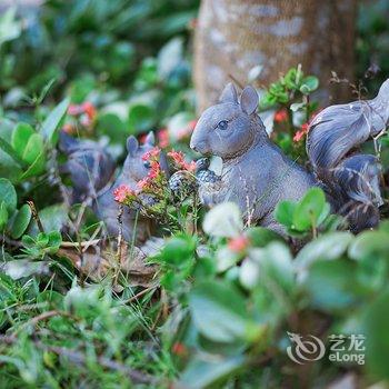 涠洲岛燕阳客栈酒店提供图片