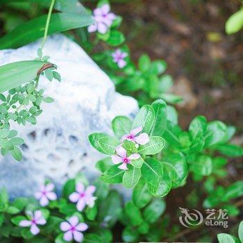 涠洲岛燕阳客栈酒店提供图片