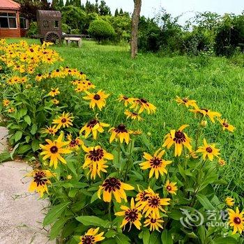 日照山海天大酒店一号楼海景客房酒店提供图片