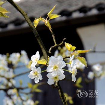 莫干山游子吟客栈酒店提供图片