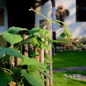 莫干山游子吟客栈酒店提供图片