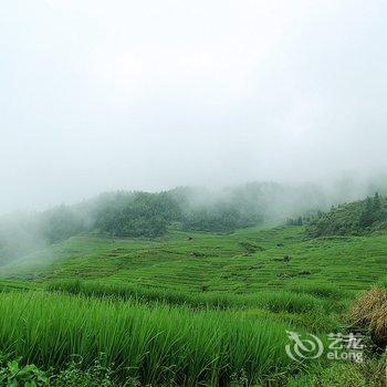 龙胜壮乡望景楼酒店提供图片