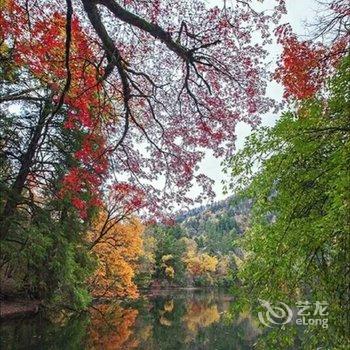 阿坝九寨沟晨馨家庭旅店酒店提供图片