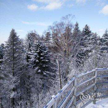 延边黄松蒲林海人家长白山池北区甜馨旅店酒店提供图片