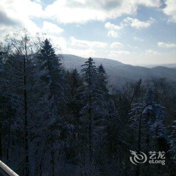 延边黄松蒲林海人家长白山池北区甜馨旅店酒店提供图片