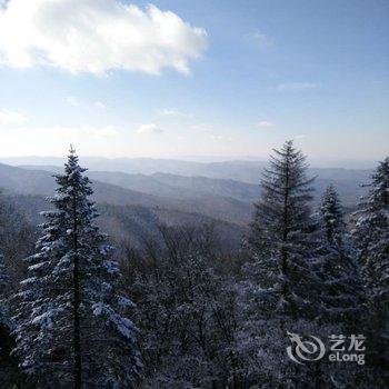 延边黄松蒲林海人家长白山池北区甜馨旅店酒店提供图片