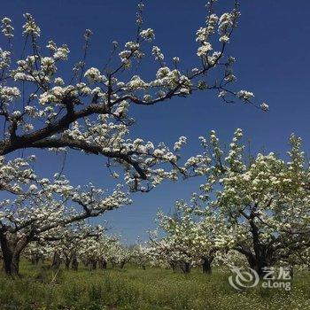 延边黄松蒲林海人家长白山池北区甜馨旅店酒店提供图片