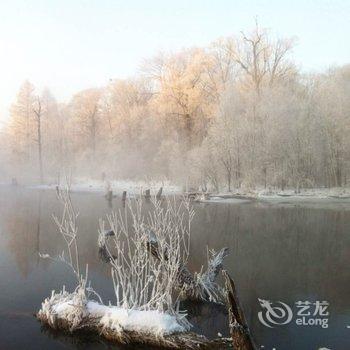 延边黄松蒲林海人家长白山池北区甜馨旅店酒店提供图片