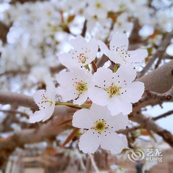 敦煌甘家大院客栈(莫高窟店)酒店提供图片