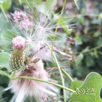 敦煌甘家大院客栈(莫高窟店)酒店提供图片