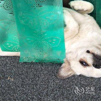 敦煌甘家大院客栈(莫高窟店)酒店提供图片