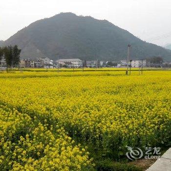 桐庐依心一驿民宿酒店提供图片