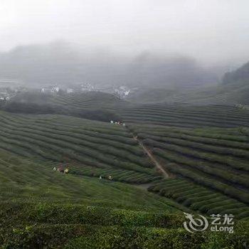 桐庐依心一驿民宿酒店提供图片