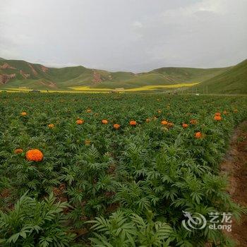 祁连宝晟客栈酒店提供图片