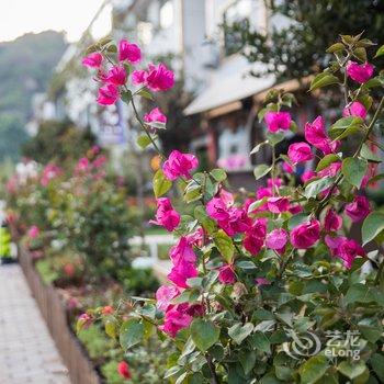 武夷山云栖山宿酒店提供图片