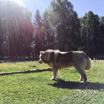 布尔津禾木求水山住酒店提供图片