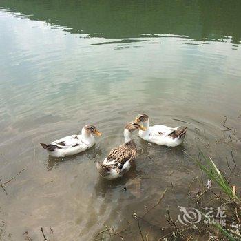 安吉远方的山民宿酒店提供图片