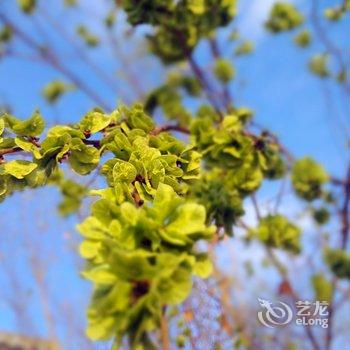 敦煌飞天文化主题客栈酒店提供图片