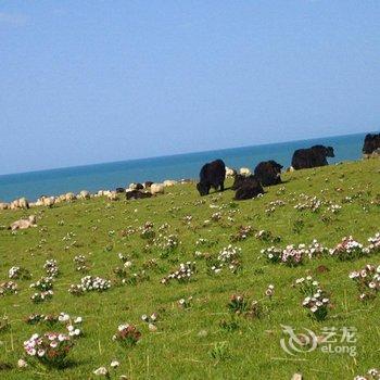 青海湖盖力格旅游接待点酒店提供图片