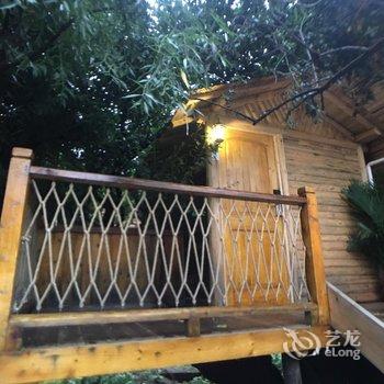 泸沽湖素巢(树屋)木屋酒店提供图片