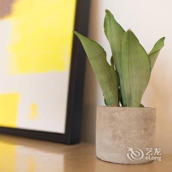 嘉兴西塘樱草竹·三页乡墅酒店提供图片