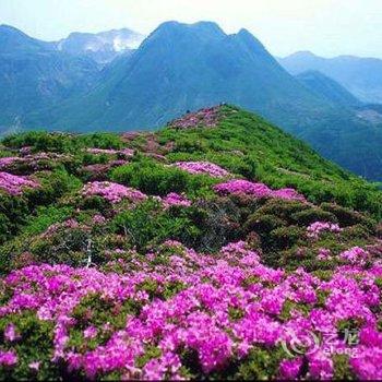 峨眉山照花堂民宿酒店提供图片