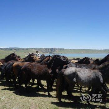 张掖七彩丹霞国际青年旅舍酒店提供图片