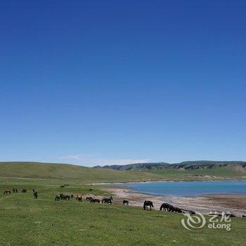 张掖七彩丹霞国际青年旅舍酒店提供图片