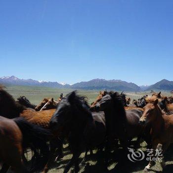 张掖七彩丹霞国际青年旅舍酒店提供图片